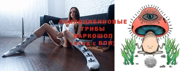 сатива Алексеевка