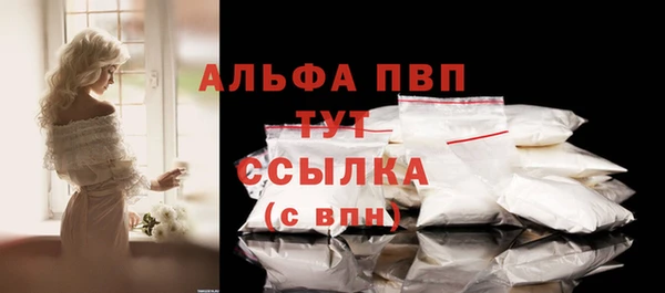 ПСИЛОЦИБИНОВЫЕ ГРИБЫ Рославль