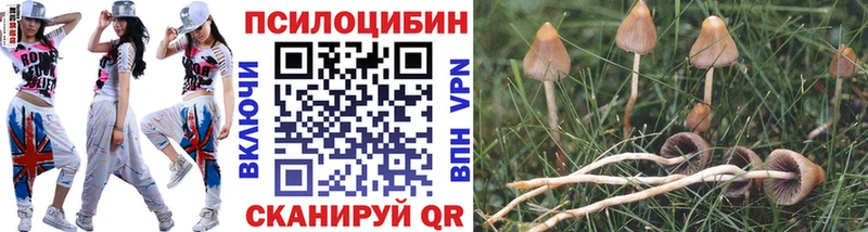 Псилоцибиновые грибы прущие грибы Пласт